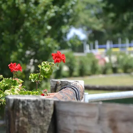 بيت للعطل Au Haras