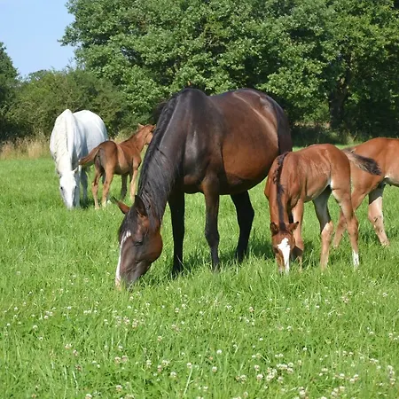 Au Haras بيت للعطل