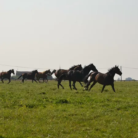 Au Haras بيت للعطل Les Aubiers