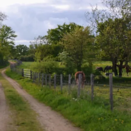 Au Haras بيت للعطل Les Aubiers