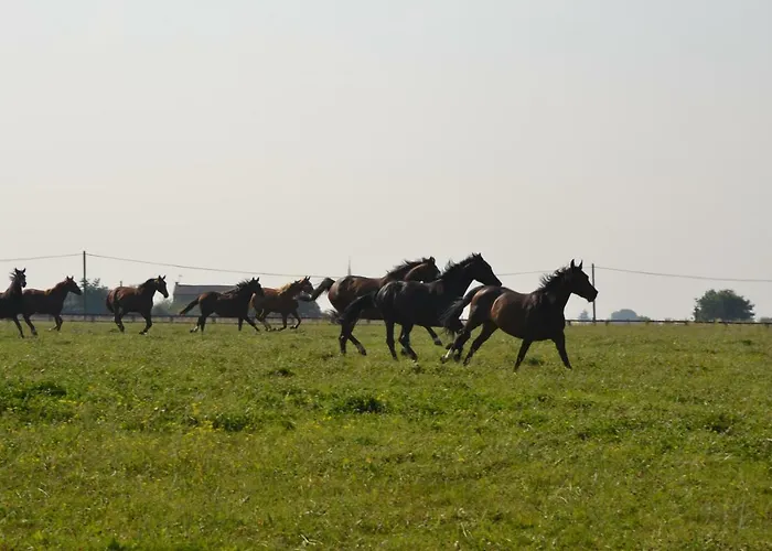 Au Haras Holiday home Les Aubiers