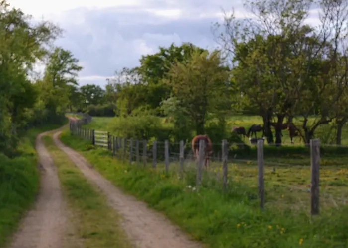 Au Haras Holiday home Les Aubiers