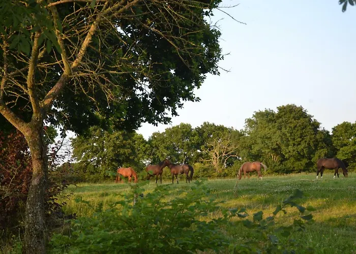 Au Haras Les Aubiers